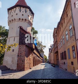 Carpenters Tower und mittelalterliche Stadtmauer in der Cetatii-Straße in Sibiu, Transsilvanien, Rumänien. Stockfoto