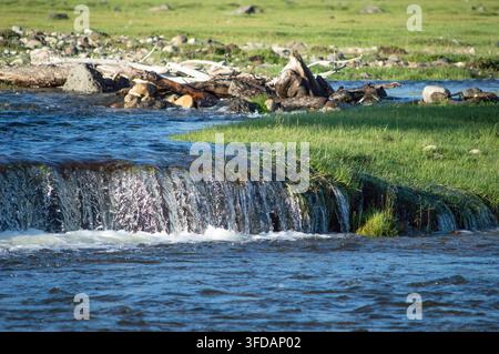 Orchon-Tal, Mongolei – 5. August 2026: Ein kleiner Wasserfall stürzt an Treibholz vorbei entlang des Ufers. Stockfoto