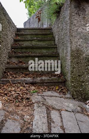 Dieses Bild zeigt eine Reihe alter, moosbewachsener Betonstufen, die nach oben führen. Ohne anwesende Menschen deuten die gefallenen Herbstblätter auf das stetige, q Stockfoto