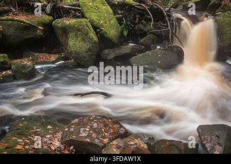 Atemberaubende, lebendige Herbstlandschaft von Padley Gorge im Peak District, England Stockfoto