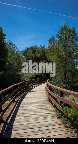 Ein hölzerner Promenadenweg windet sich durch einen dichten grünen Kiefernwald im Naturpark nahe Las Salinas in Calpe. Der strahlend blaue Himmel trägt zum Außeneinsatz bei Stockfoto