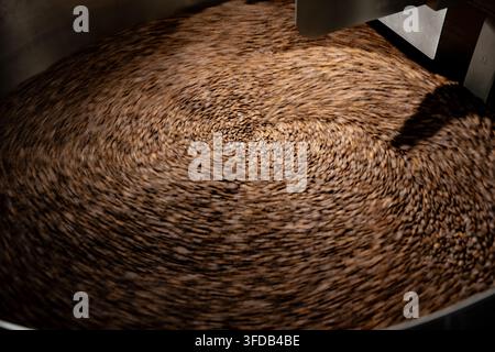 Geröstete Kaffeebohnen wirbeln über einem rotierenden Kühlblech und zeichnen das kreisförmige Rührmuster nach, das verwendet wird, um Bohnen nach dem Rösten schnell zu kühlen. Stockfoto