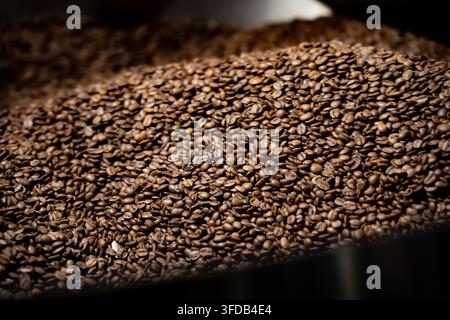 Eine Nahaufnahme von gerösteten Kaffeebohnen zeigt ihre rissige, ölige Oberflächentextur, die typisch für einen reichen, gut entwickelten mittel-dunklen Röstgang ist. Stockfoto
