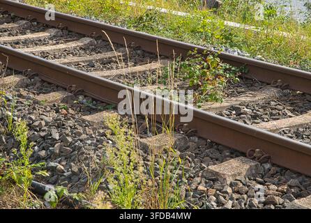 Überwachsene Eisenbahnstrecke in der Nähe der Lindaunis-Brücke, Schleswig-Holstein, Deutschland Stockfoto