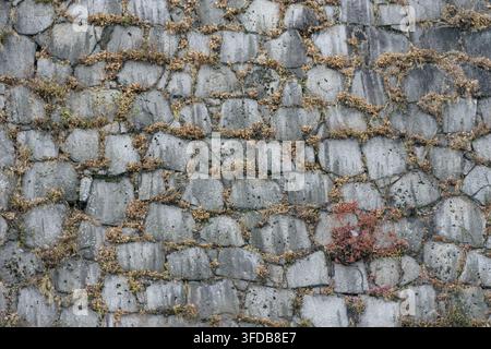 Eine detaillierte Nahaufnahme einer antiken Steinmauer, die aus unregelmäßig geformten, grauen Steinen in einem zufälligen, ineinandergreifenden Muster besteht, das eine deutliche Stockfoto