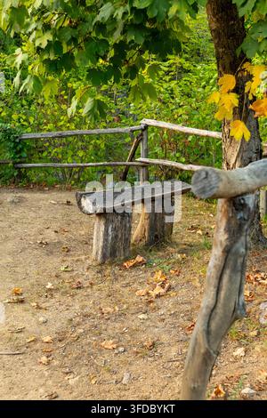Eine rustikale Holzbank steht neben einem Waldweg, umgeben von Herbstlaub. Stockfoto