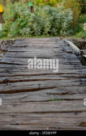 Eine verwitterte Holzbrücke erstreckt sich nach vorne durch eine verschwommene grüne Gartenkulisse. Stockfoto