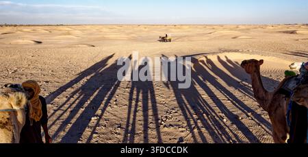 Eine weitläufige Perspektive aus der Ich-Perspektive zeigt lange, dramatische Schatten einer Kamelkarawane, die sich über den flachen Wüstenboden von Douz, Tunis, erstreckt Stockfoto
