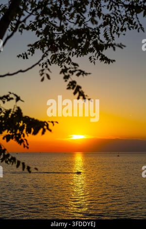 Goldener Sonnenuntergang über dem Meer, eingerahmt von Baumästen. Goldener Sonnenuntergang spiegelt sich im ruhigen Meer wider mit Booten am Horizont und silhouettierten Baumästen Stockfoto
