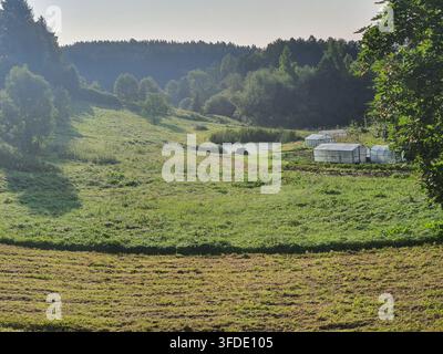 Eine ländliche Agrarlandschaft mit sanften grünen Wiesen und einem kleinen Teich, der in einem Tal eingebettet ist, umgeben von dichtem Wald. Mehrere Gewächshäuser Stockfoto