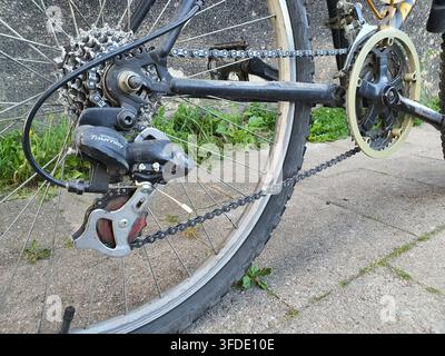 Nahaufnahme des Hinterrads und der Antriebskomponenten eines Fahrrads. Das Bild zeigt prominent ein Shimano Tourney-Hinterradschaltwerk mit sichtbaren Stockfoto