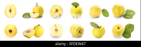 Gesunde Ernährung und Bio-Lebensmittel, frische gelbe Quittenfrüchte mit grünen Blättern isoliert auf weißem Hintergrund für kulinarische und Diät-Menüdesign Stockfoto