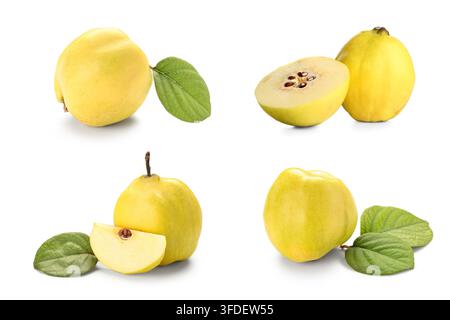 Gesunde Ernährung und Bio-Lebensmittel, frische gelbe Quittenfrüchte mit grünen Blättern ganz und in Scheiben isoliert auf einem sauberen weißen Hintergrund Stockfoto
