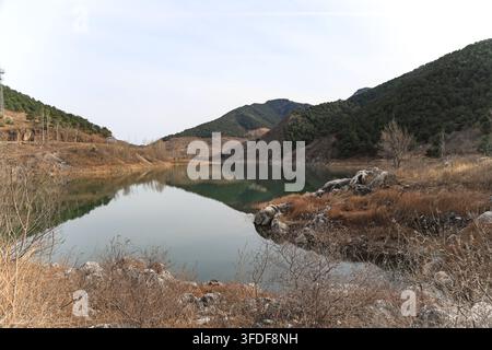 Eine ruhige Landschaft im frühen Frühling oder im späten Herbst, die einen klaren See zeigt, der die umliegenden grünen Berge und die gelb-braune Uferlinie widerspiegelt. Stockfoto