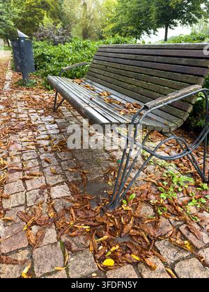 Herbstparkbank umgeben von gefallenen Blättern – Friedliche saisonale Outdoorszene Stockfoto