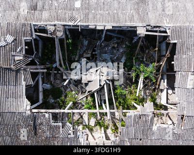 Luftbild eines eingestürzten und verlassenen landwirtschaftlichen Komplexes aus der Sowjetzeit mit zerbrochener Wellblechdachung und überwuchernder Vegetation, die aus dem Schutt hervorgeht Stockfoto