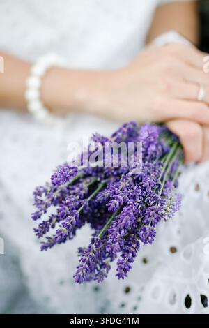Frau in einem weißen Kleid, die frischen Lavendel hält Stockfoto