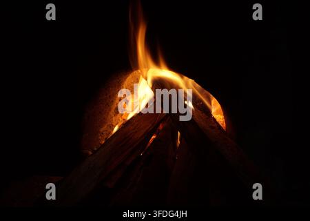 Nahaufnahme von lodernden Holzscheiten in einem traditionellen Lehmofen. Helle orangefarbene Flammen und glühende Glut vor dunklem Hintergrund, die Wärme und Rustikalität verkörpern Stockfoto