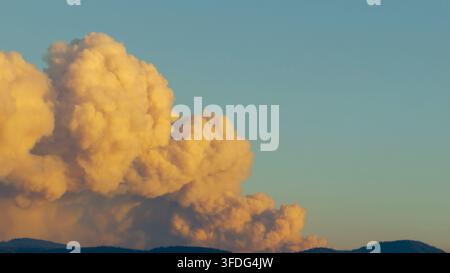 Große Rauchwolke von einem Waldbrand bei Sonnenuntergang Stockfoto