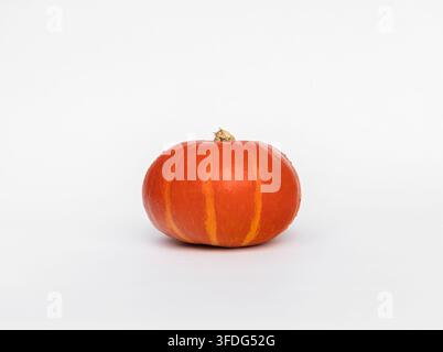 Ganze reife Orangen-Kürbis (Cucurbita maxima) isoliert auf weißem Hintergrund. Studioaufnahme von Hokkaido-Kürbis, perfekt für Ernte im Herbst, Halloween, o Stockfoto