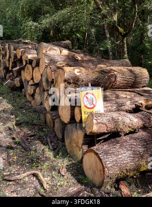 Forst England Keep of Logs Schild Stockfoto