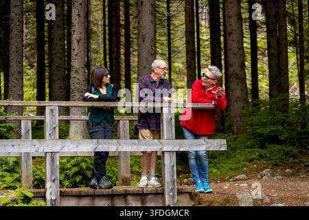 Drei Freunde führen ein lockeres Gespräch, während sie auf einer Holzbrücke in einem grünen Wald lehnen Stockfoto