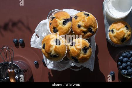 Frische hausgemachte Blaubeermuffins, die auf einem dunkelbraunen Hintergrund mit verstreuten Blaubeeren und Backzutaten angeordnet sind Stockfoto