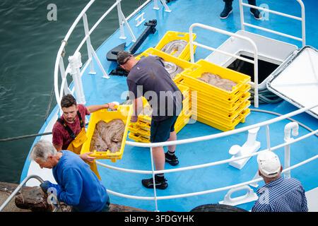 Frankreich, Guilvinec, 04.08.2026. Ein Kutter ist im Hafen angekommen, um den Tagesfang zu entladen. Stockfoto