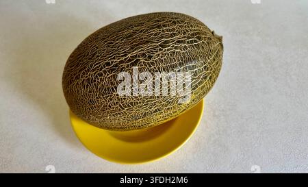 Ganzes spanisches Piel de Sapo-Melone auf einem weißen Teller vor einem hellen Hintergrund mit großzügigem Kopierraum. Stockfoto