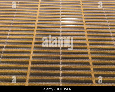 Luftaufnahme der Arlington-Solaranlage mit Reihen von Photovoltaikmodulen, die in einem weitläufigen Rastermuster unter klarem Sonnenlicht in Arlington, Orego angeordnet sind Stockfoto
