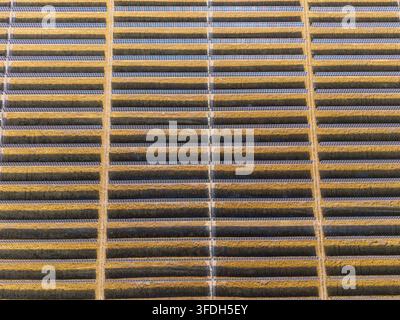 Luftaufnahme der Arlington-Solarfarm mit Reihen von Solarpanelen, die das Licht der goldenen Stunde in Arlington, Oregon, USA reflektieren. Stockfoto