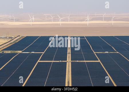 Luftaufnahme der Solarfarm Arlington mit Reihen von Photovoltaikmodulen und Windturbinen im Hintergrund in Arlington, Oregon, Vereinigte Staaten. Stockfoto