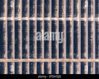 Luftaufnahme der Solarfarm Arlington mit langen Reihen von Photovoltaikmodulen, die in einem Rastermuster über die Landschaft in Arlington, Orego, angeordnet sind Stockfoto