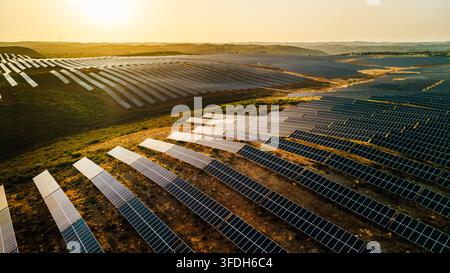 Luftaufnahme von ausgedehnten Photovoltaik-Panel-Arrays, die sanfte ländliche Hügel unter warmem goldenem Abendlicht bedecken. Stockfoto
