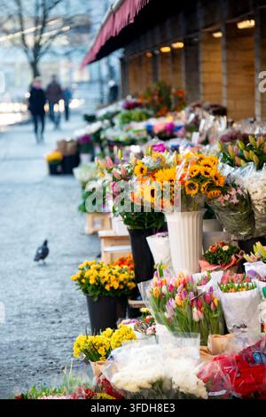 Lebendige Straßenblumenladen-Vitrine mit frischen bunten Sträußen, Sonnenblumen, Tulpen, Lilien und saisonalen Blumenarrangements, die in einem Eimer angeordnet sind Stockfoto