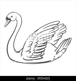 Vektorbild eines schwimmenden Schwans mit erhobenen Flügeln. Ein Symbol für Liebe und Treue, lebenslange Ehe. Clipart für Valentinstag und Hochzeit. Umrisszeichnung eines weißen Schwans. Federlinienskizze. Retro-Stil. Stock Vektor