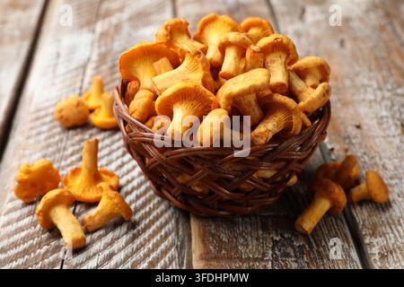Goldene Pfifferlinge in einem Weidenkorb auf einem Holztisch, Nahaufnahme Stockfoto