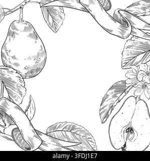 Vektorillustration von Früchten, Birnen, Blättern, Zweigen, Fruchtscheiben und Bändern. Alles ist mit Tinte handgezeichnet. Botanische Vektorillustration mit Stock Vektor