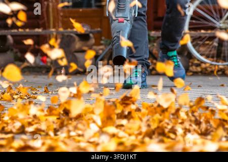 Arbeiter verwendet einen Laubbläser, um trockene abgefallene Blätter vom Gehweg während der Herbstpflege zu entfernen, zeigt saisonale Außenreinigung und Gartenpflege. Stockfoto