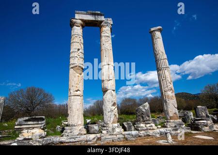 Panoramiches Bild des antiken Tempels der Aphrodite mit stehenden Säulen in Aphrodisias Stockfoto