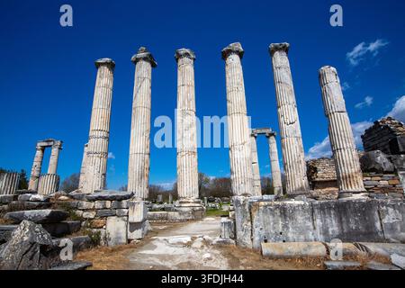 Panoramiches Bild des antiken Tempels der Aphrodite mit stehenden Säulen in Aphrodisias Stockfoto