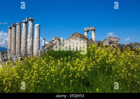 Panoramiches Bild des antiken Tempels der Aphrodite mit stehenden Säulen in Aphrodisias Stockfoto