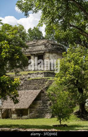 Ansicht der antiken Maya-Ruinen von Palenque, umgeben von üppigen Dschungelbäumen und Gras in Palenque, Chiapas, Mexiko. Stockfoto