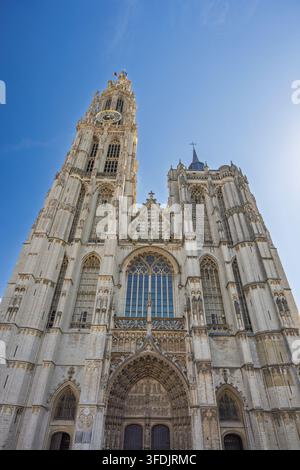 Stadt Antwerpen in Belgien, Europa. Kathedrale Unserer Lieben Frau, majestätischer europäischer Kathedralturm und verzierte Fassade vor einem klaren blauen Himmel an einem hellen, sonnigen Stockfoto