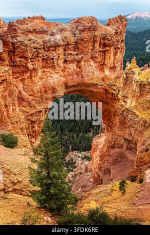 Eine Hochwinkel-Aufnahme des spektakulären 85-Fuß-Naturbrückenbogens im Bryce-Canyon-Nationalpark im Süden Utahs. Das feurige Orange und Rot der Sedimente Stockfoto