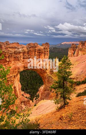 Eine Hochwinkel-Aufnahme des spektakulären 85-Fuß-Naturbrückenbogens im Bryce-Canyon-Nationalpark im Süden Utahs. Das feurige Orange und Rot der Sedimente Stockfoto