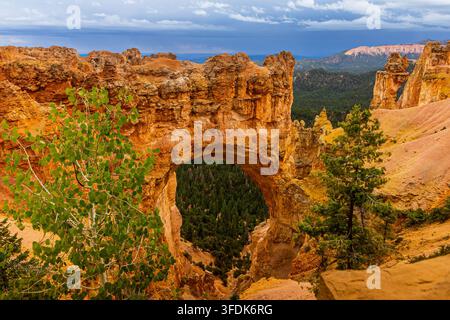 Eine Hochwinkel-Aufnahme des spektakulären 85-Fuß-Naturbrückenbogens im Bryce-Canyon-Nationalpark im Süden Utahs. Das feurige Orange und Rot der Sedimente Stockfoto