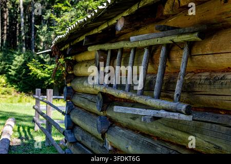 Verwitterte Holzhüttenwand mit einer rustikalen handgefertigten Leiter, die an Baumstämmen hängt. Helles Sommerlicht und tiefer Waldhintergrund schaffen eine ruhige alpine Heimstätte Stockfoto
