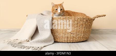 Haustierpflege und Komfort, gingerfarbener Kater ruht in einem gewebten Korb mit einer weichen Decke in einem gemütlichen Wohninterieur für Tierwohlbefinden und häuslichen Lebensstil Stockfoto