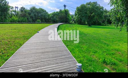 Ein gebogener Holzsteg windet sich durch eine lebendige grüne Wiese unter einem klaren blauen Himmel. Üppige Bäume säumen den Weg Stockfoto